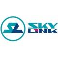Skylink (в 2015 году упразднена, преемник - Tele2 Россия),